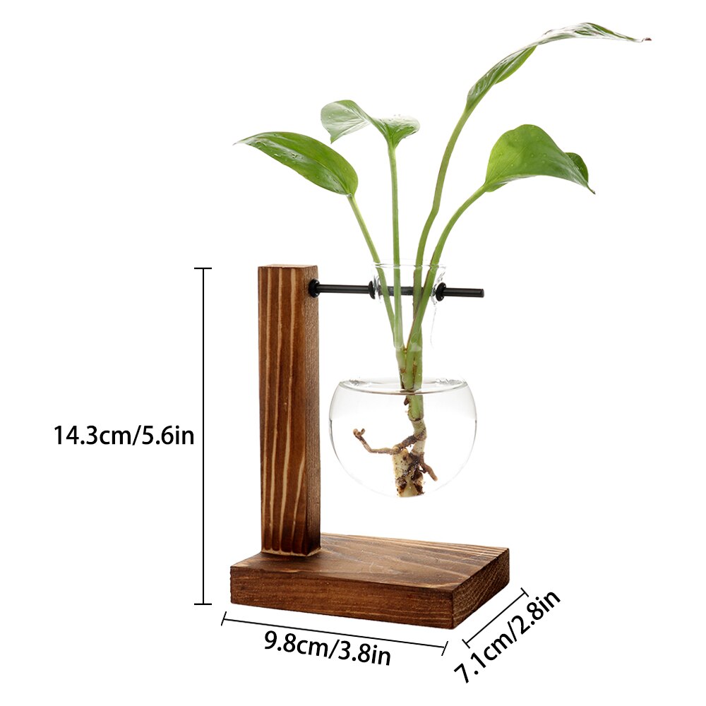 Rahmen Glas Vase Terrarium Hydrokultur Liefert Ornamente Dekoration Tabletop Pflanzen Hause Bonsai Zubehör Terrarium Vasen: A