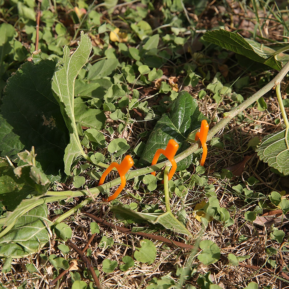 100pcs Tuin Tool Plastic Plant Clips Uitlopers bevestiging bevestiging Armatuur klem aardbei vork Landbouw Clip