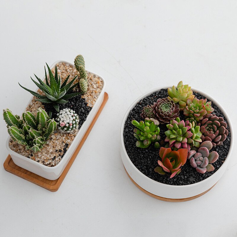 Succulents White Porcelain Flower Pots Round Rectangular Home Garden Refreshing Ceramic Pots Balcony Green Planting