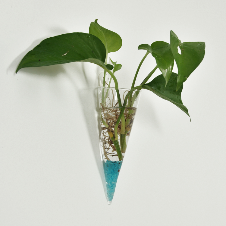1Piece Hanging Glass DIY Bottle Pot Flower Plant Vase High Borosilicate Container Cone Shape