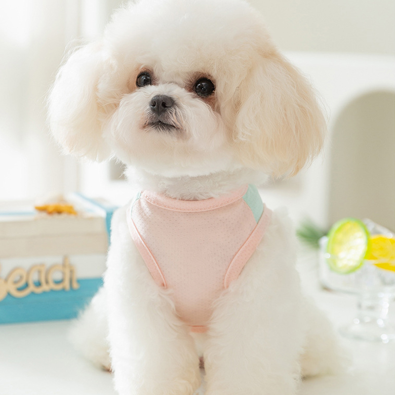 Dog Cooling Vest Thin Summer Dog T Shirt Dog Sunscreen Pet Dog Clothes with Buckle Bichon Breathable Mesh Puppy Costumes