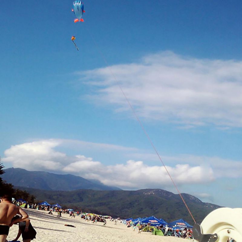 Ulkoilu sininen pehmeä valas hahmot nylon leija vesiurheilu surffausvarusteet ulkourheiluvälineet