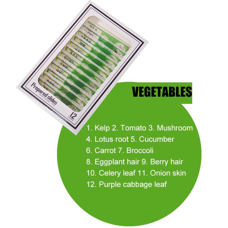 1200X Student Monocular Biological Microscope Set LED Home School Science Educational For Kids Child Lab Optical Instruments: Green