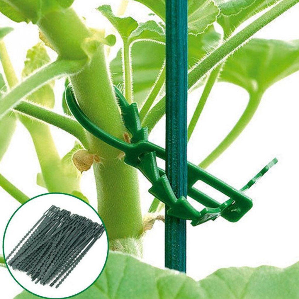 50 st återanvändbara buntband för trädgårdsväxter justerbara lösbara trädklättringsstöd självlåsande plastband