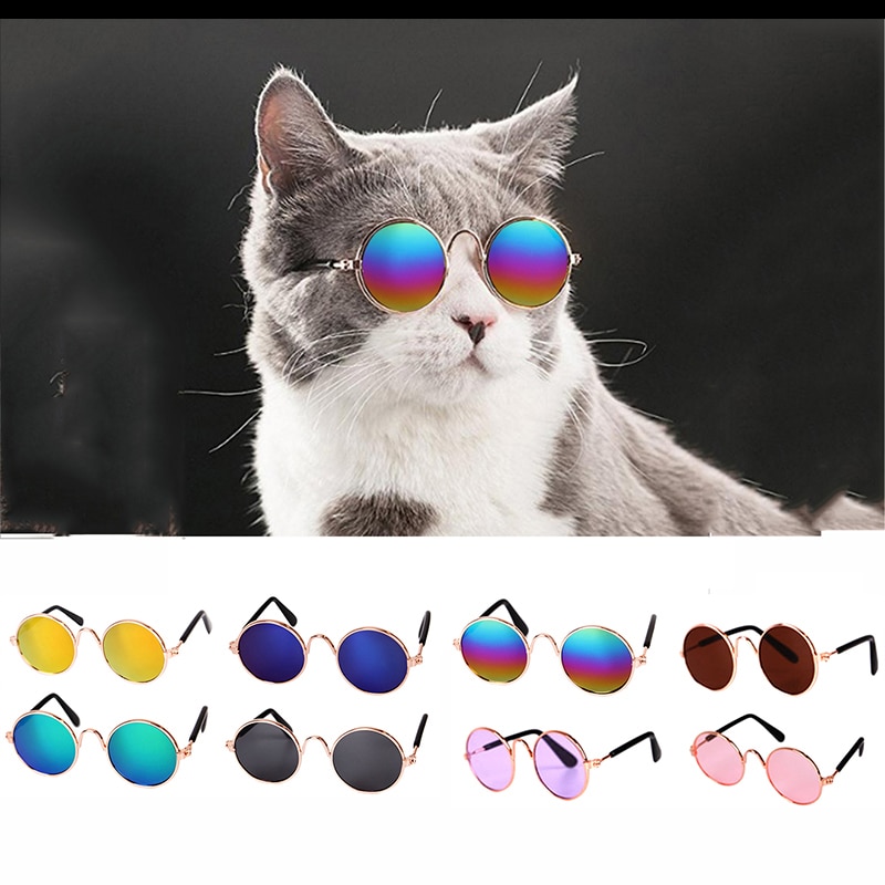 Kattekattehunde solbriller seje runde farverige briller til små hundekatte sjove øje-ware kæledyrsprodukter