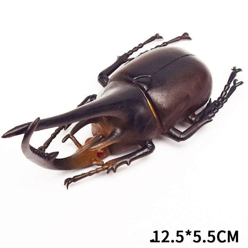 Escarabajo de juguete de simulación de 6 estilos, 13cm, modelo realista, juguete de simulación de insecto, ayuda en Enseñanza de guardería, colección de juguetes para niños, vestido: 3