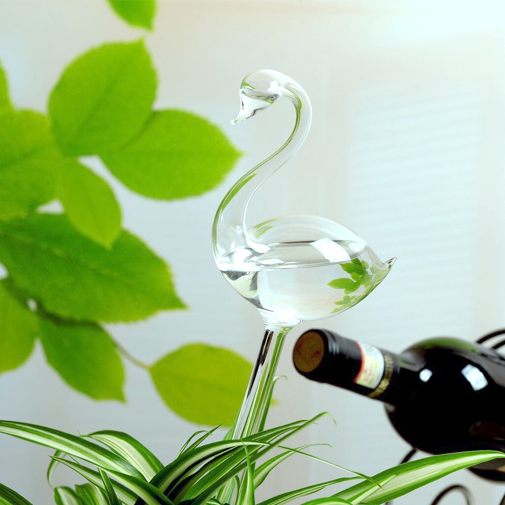 Klart glas selvvandende kugler plante blomster små automatiske vanding løg til pottehave udendørs indendørs: 5