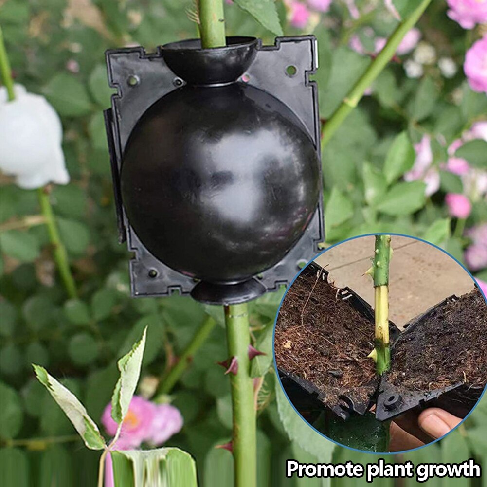 Dispositivo de estratificación de aire de 5 piezas, caja de enraizamiento de plantas de alta presión, injerto, Bola de crecimiento de cría, crecimiento de árboles jóvenes de jardín