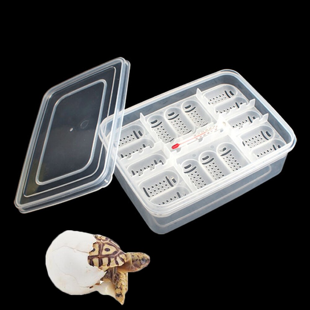 Kæledyrs krybdyr firben slange gekko 16 gitter ægskraverier avlskasse kasse inkubator uden termometer