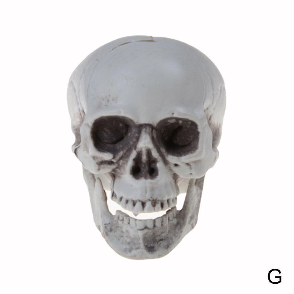 Halloween Decorations Artificial Skull Head Model Plastic Skull Bone Horror Skeleton Party Bar Model Human Anatomical Model: G