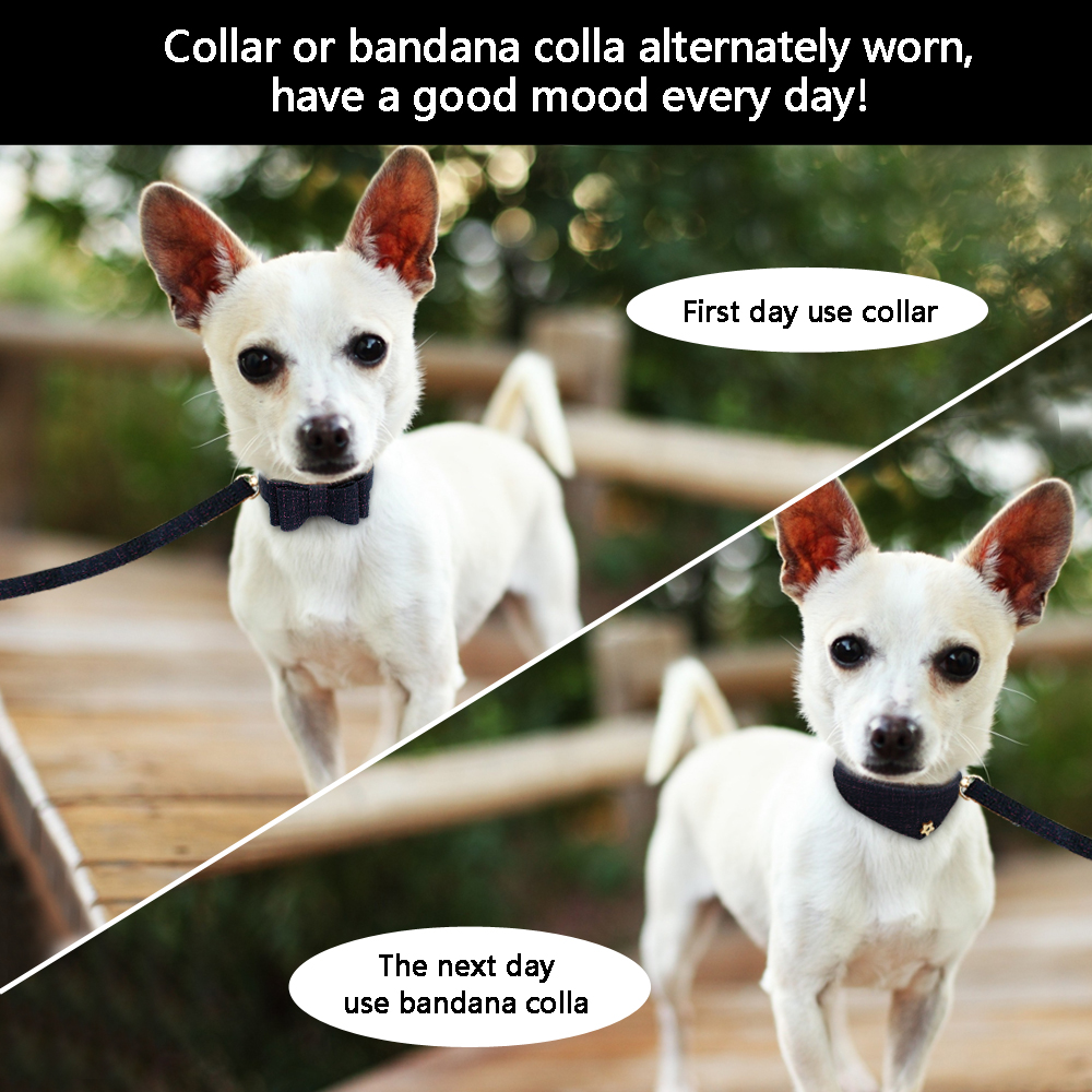 Hundhalsband bandana koppel set hundar katt bowknot läderhalsband bandana scraf med gående koppel husdjur tillbehör