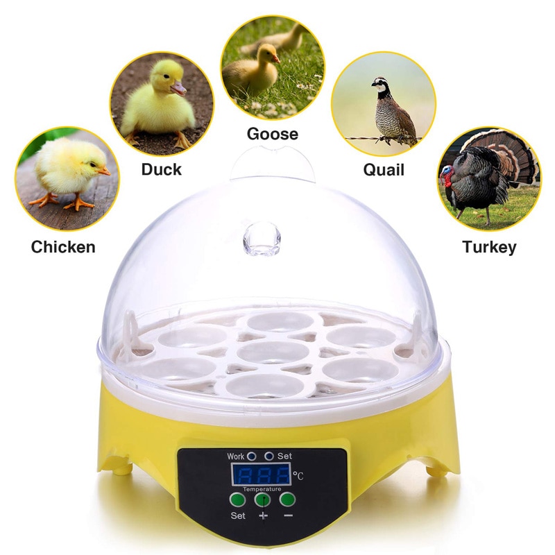 HHD 7 Eggs Incubator Machine 110V/220V Automatic Digital Mini Egg Incubator Adjustable Temperature Hatchery Brooder for Chickens