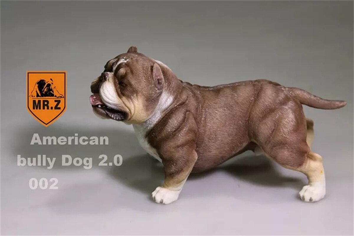 Mr.Z Studio 1:6 American Bully Pitbull Dog Pet Figure Animal Toy Collector Xmas Play Decoration Ornaments Hand To Do