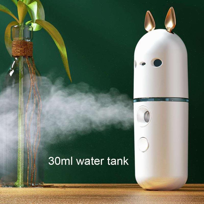 Mini Mist Sprayer Cute Nano Facial Sprayer Cool Mist Face Mister Portable Face Humidifier USB Facial Spray Steamers Skin Care