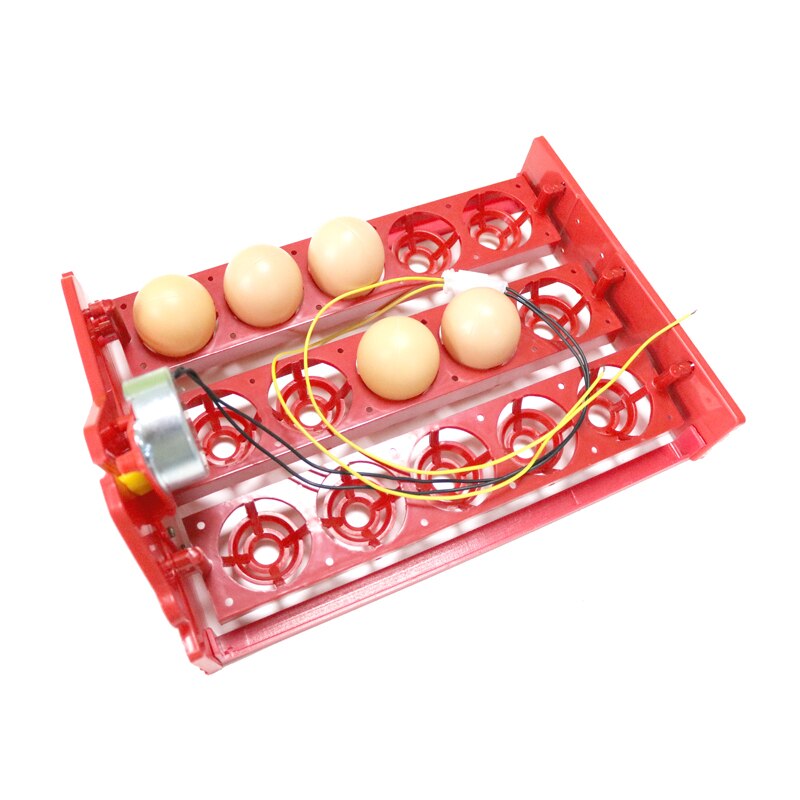 15 Eggs Mini Incubator Automatically Turn Eggs Tray 220V/110V/12V Laboratory Family Incubator Poultry Bird Incubator Equipment