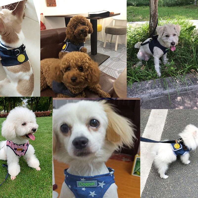Atmungsaktive Streifen Haustier nutzbar machen Tarnung Hund Weste Welpen Leinen Kleine Hunde Leine einstellen Für Chihuahua Teddy S M L XL