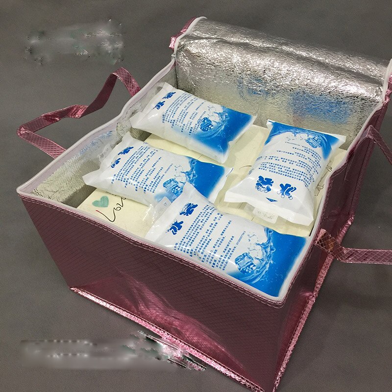 Insulated Picnic Cooler Bags Cake Pizza Lunch Picnic Box Insulated Cool Handbags Ice Pack Thermo Portable Insulation box DJFEN