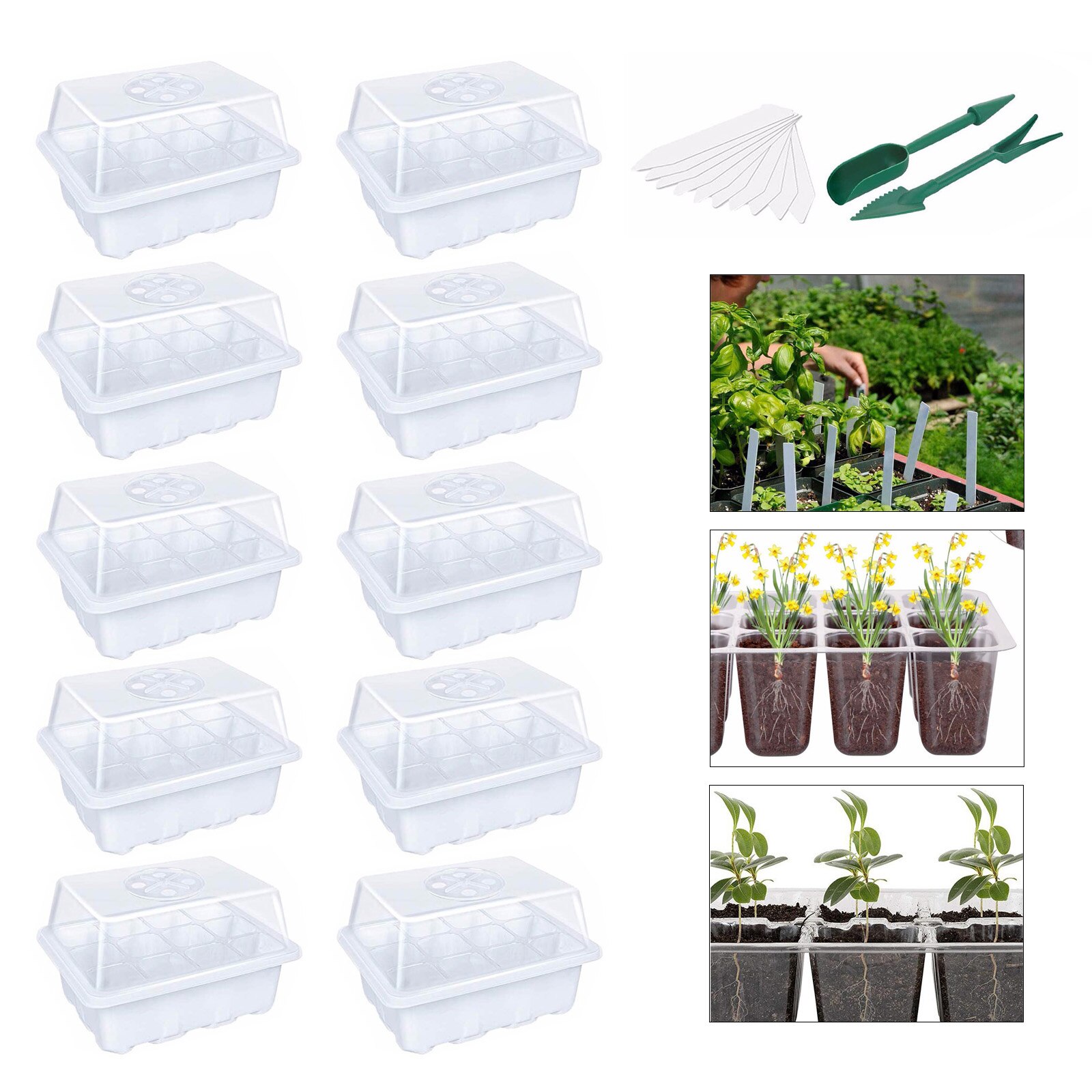 12Hole Nursery Pots Planting Seed Tray Kit Plant Germination Box Seedling Tray Grow Box for Gardening Supplies