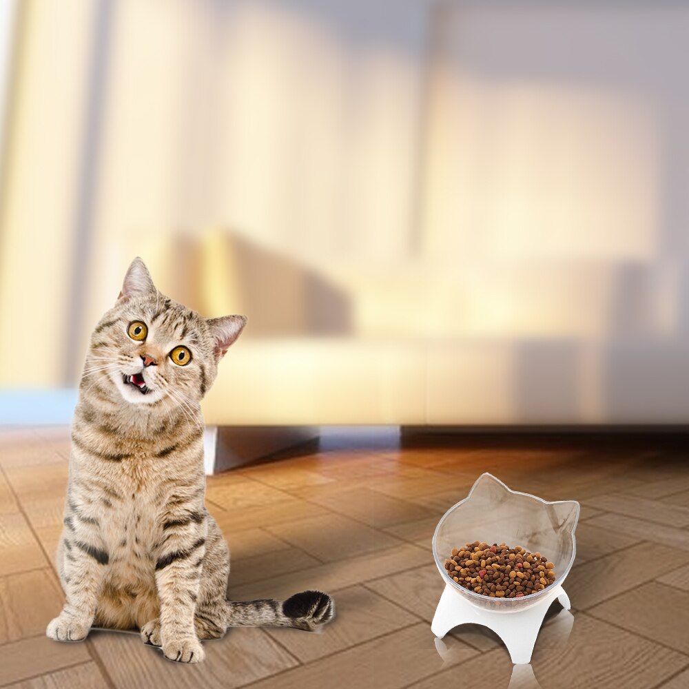 Voerbak voor huisdieren, voerbak voor honden en kittens, voerbak voor puppy's, servies, voerbakken, benodigdheden