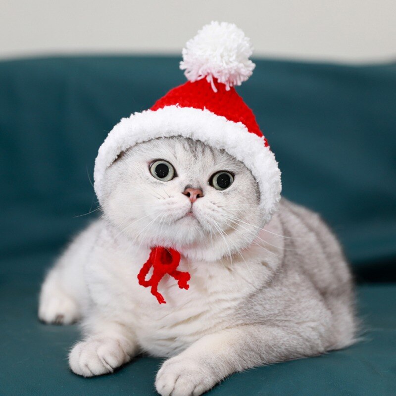 Kerst Hoed Voor Hond Kat Cap Winter Warm Pluche Gebreide Leuke Beanie Kerstmis Cap Kerst Pet