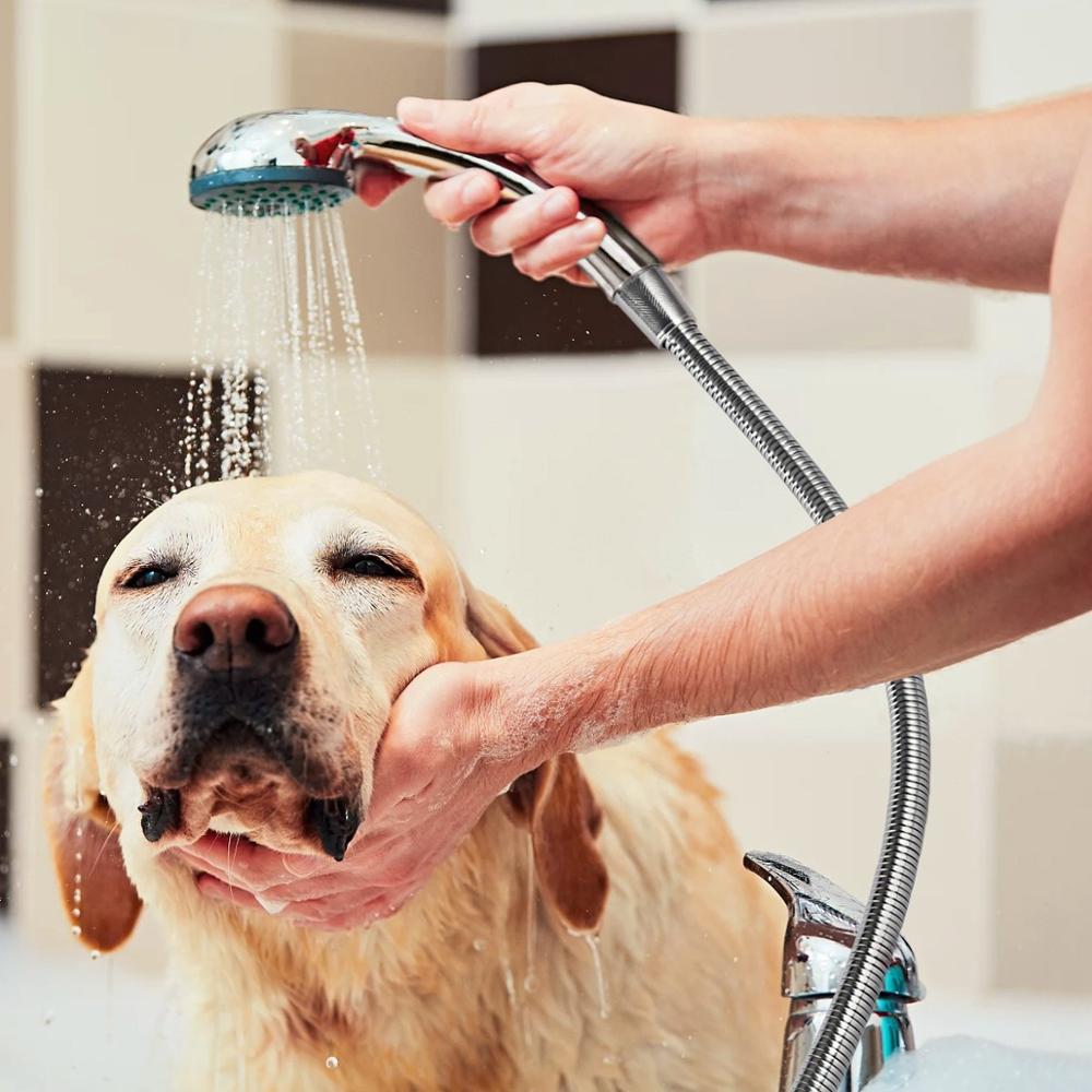 Tubo Flexible de agua suave para ducha, manguera de lluvia común de 1,5 m O 2m, cromado, accesorios de baño negros