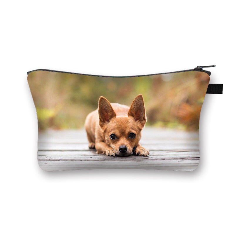 Kawaii pies Chihuahua drukuj kosmetyczka kobiety torebki na makijaż panie szminka przechowywanie torby dla dziewcząt podróżujących kosmetyczka organizatorzy: shzbchihucw06