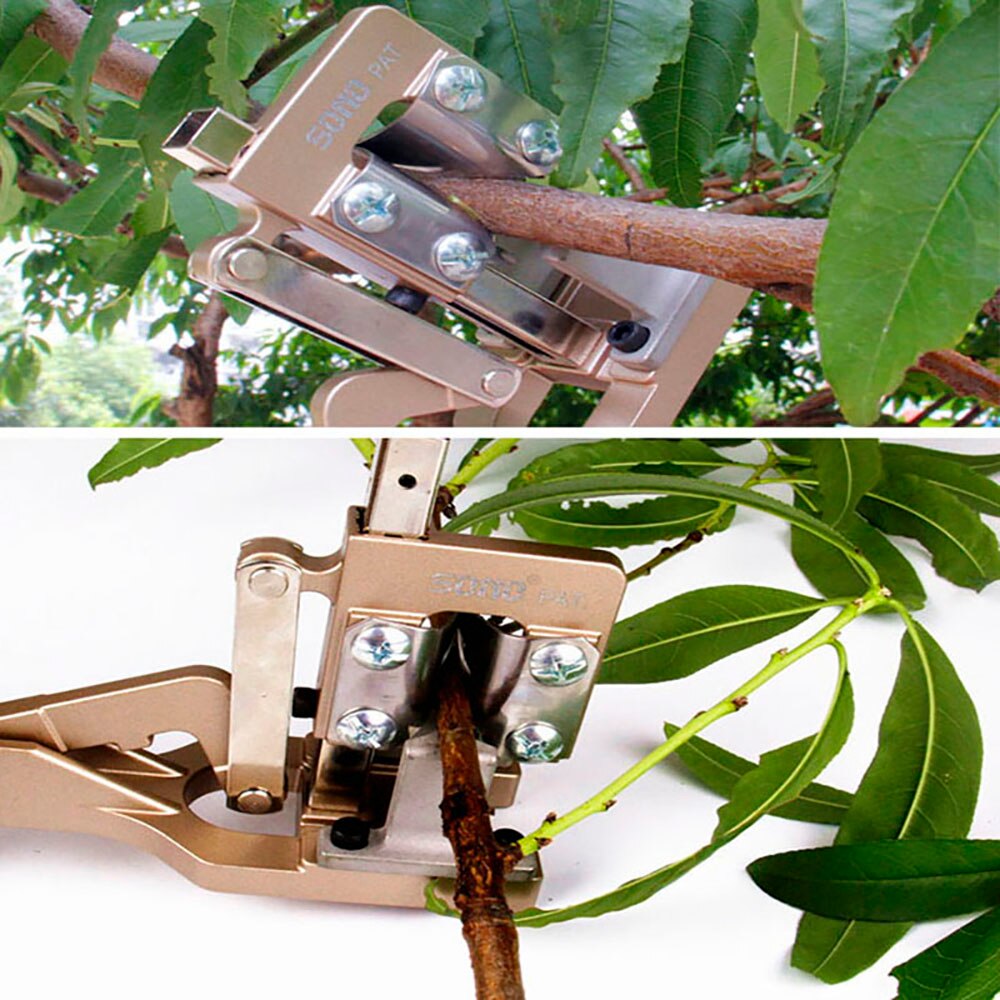 ! Herramienta para injertos de verduras, herramientas para injerto, fruta, árboles frutales