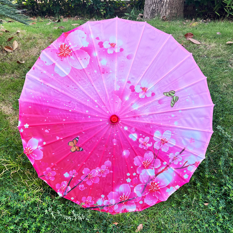 Chinese Silk Umbrella Hanfu Waterproof Oil Paper Umbrella for Wedding Photograph Prop Dance Decorative Costume Parasol: light green