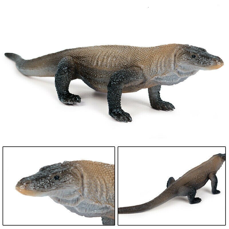 Komodo Dragon Simulatie Lizard Figuur Collector Speelgoed Dier Model Toy Collector Decor Cijfers Wetenschap Educatief Onderwijs