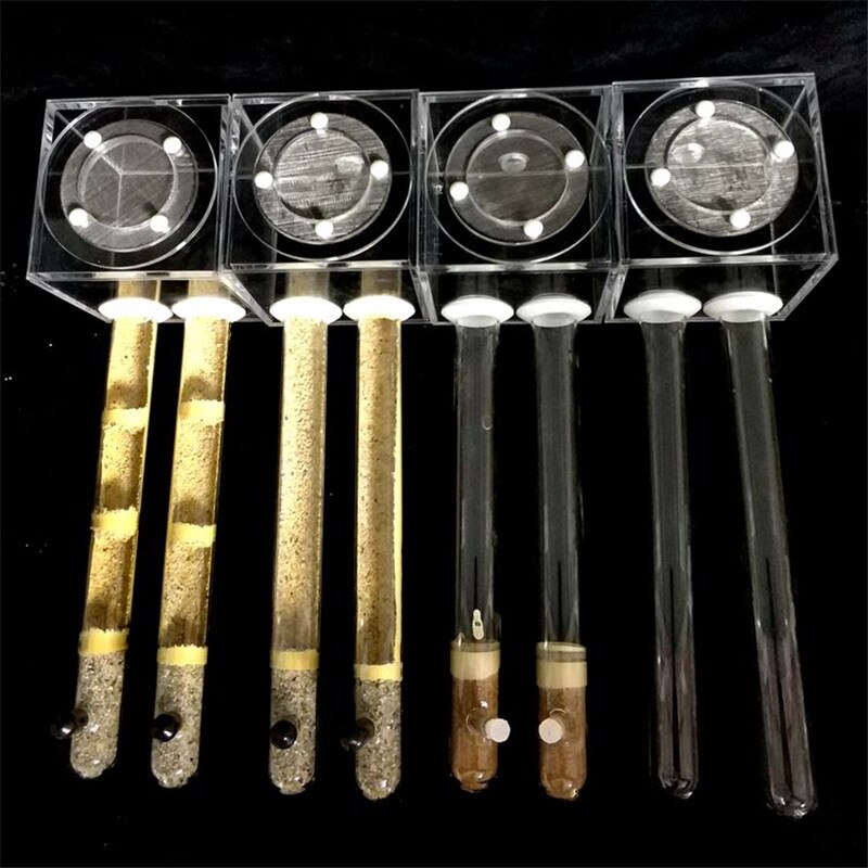 Fourmilière en tubes de verre miniatures avec zone active, fourmilière en acrylique