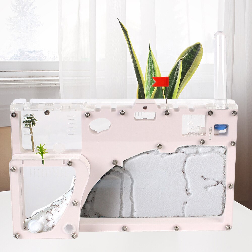 Fourmilière souterraine, atelier, jouets éducatifs pour enfants, maison, ferme à fourmis, boîte acrylique, nid de château de sable