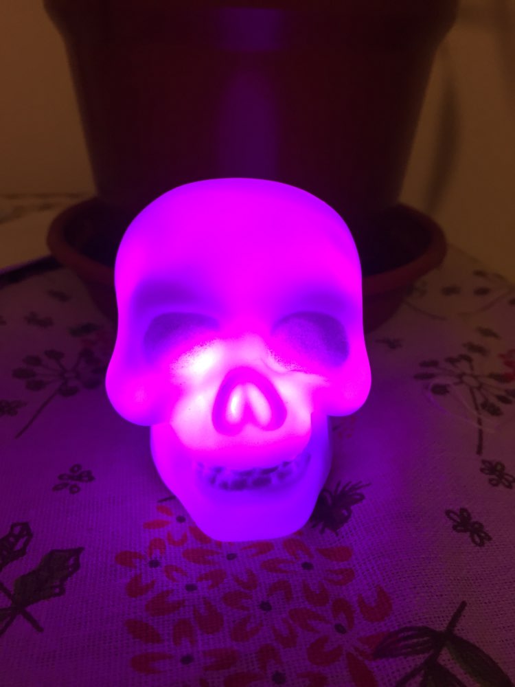 Lanterne en forme de crâne 1 pièce | Lampe clignotante de nuit, décoration d'halloween, meilleure pour Festival d'halloween, fournitures de décoration de fête