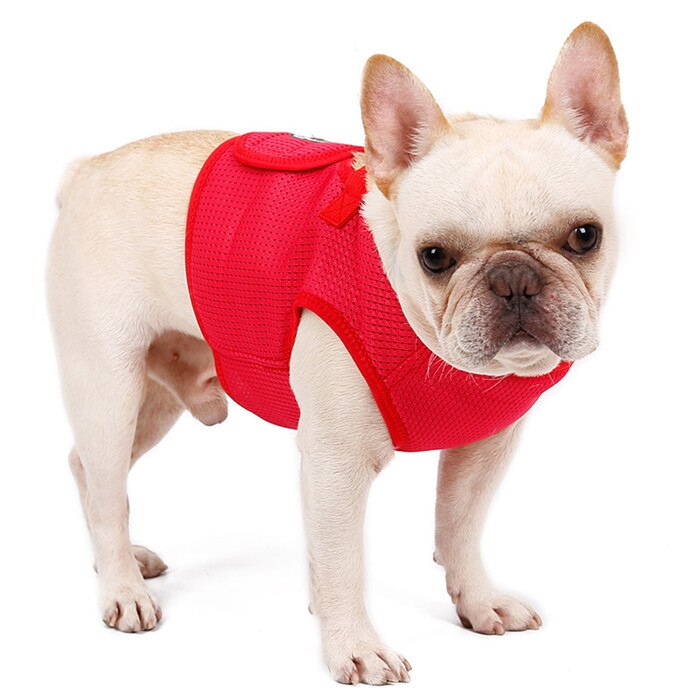 Hond Harnas Ademend Mesh Licht Gewicht Hond Harnas Vest voor Small Medium Hond Franse Bulldog Dagelijks Wandelen Pet Harness Zachte rood: red / S 30-36cm chest