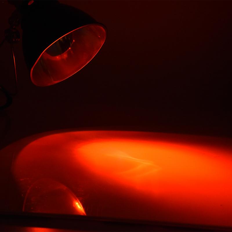Uva+uvb 3.0 krybdyr lampe pære skildpadde basking varme lampe uv lys pærer padder firben temperatur controller 25/50/75w e27