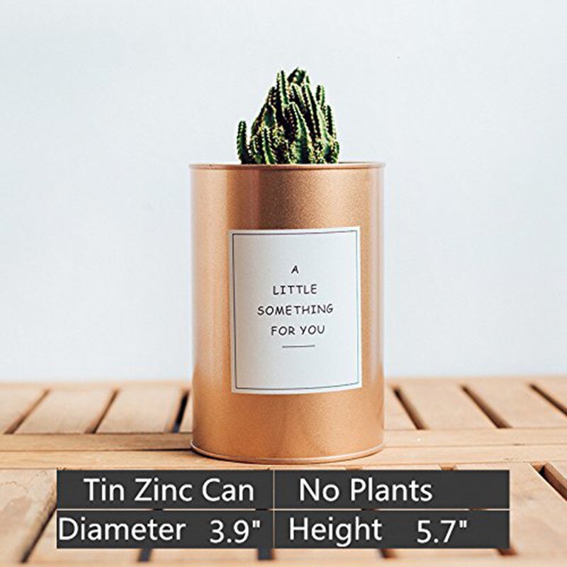 Maceta de Metal para jardín, maceta de hierro suculenta, contenedor de almacenamiento, maceta decorativa para jardín, flor Artificial, oro rosa, plata, negro, 27: Rose Gold 14.5CM