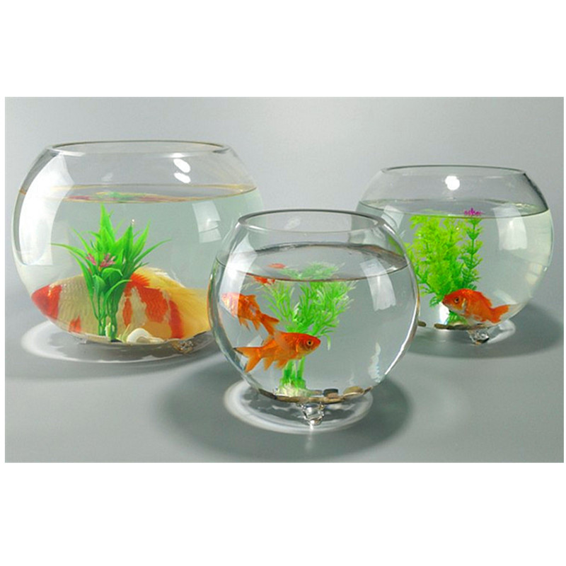 Glass Jewelry Container Aquarium Fishbowl Flower Plants Jar Home Decoration Vase Round Glass Necklace Storage Holder Stand