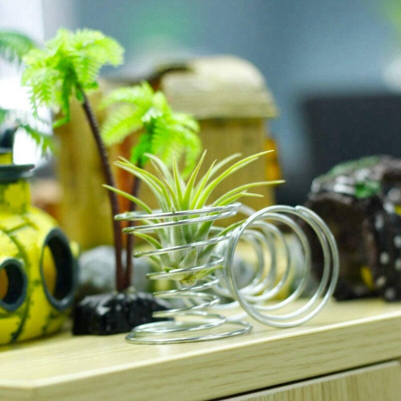 Luchtplantenstandaard, luchtplantenbak, tillandsiahouder, roestvrijstalen plantendisplayrekken, luchtananasbasis, 12 stuks