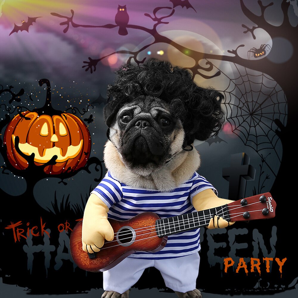Vêtements pour animaux de compagnie, déguisement d&#39;halloween pour petit chien, déguisement de , Chihuahua, fournisseur