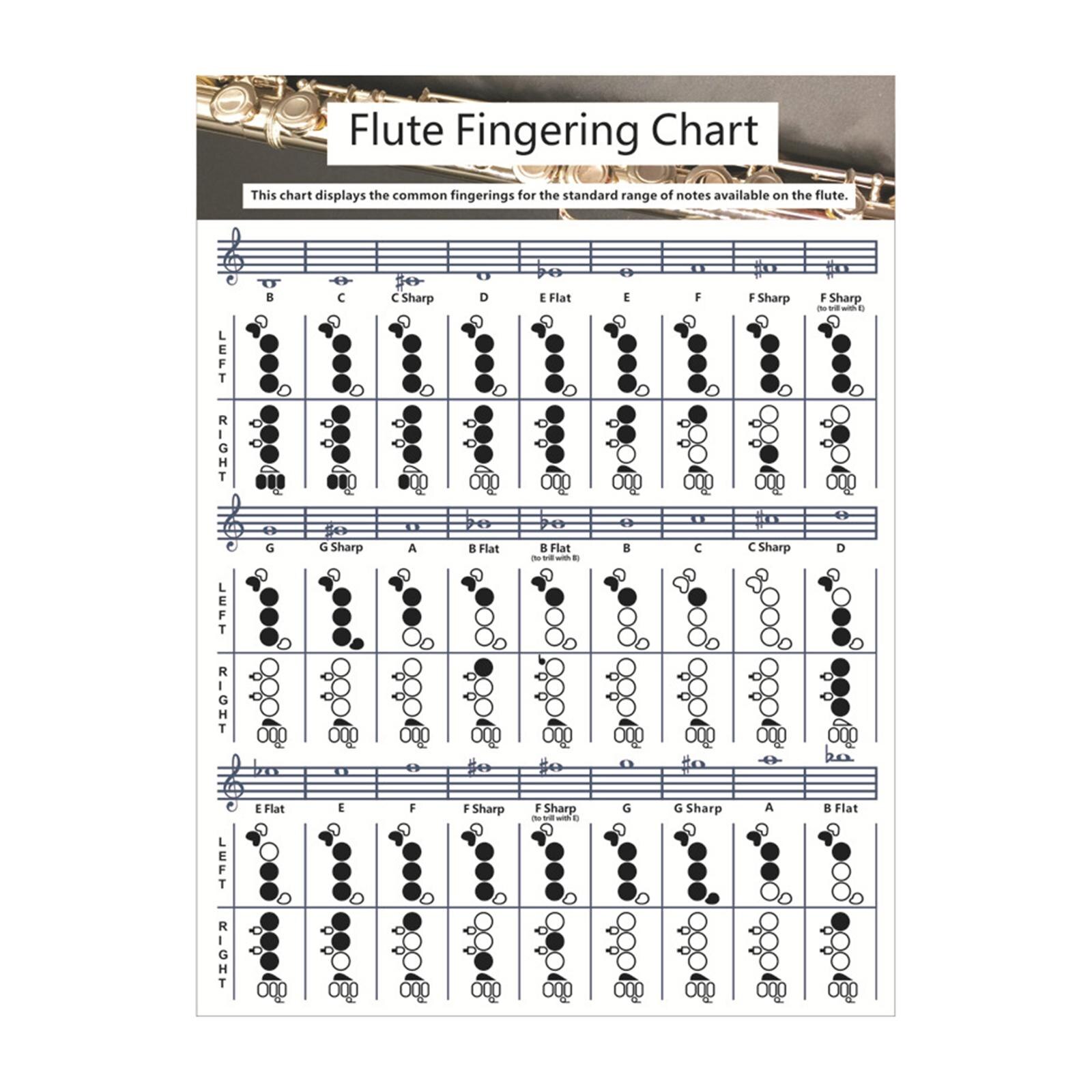 Flute Chart Educational Music Chords Poster for Starter Learning Kids: Small