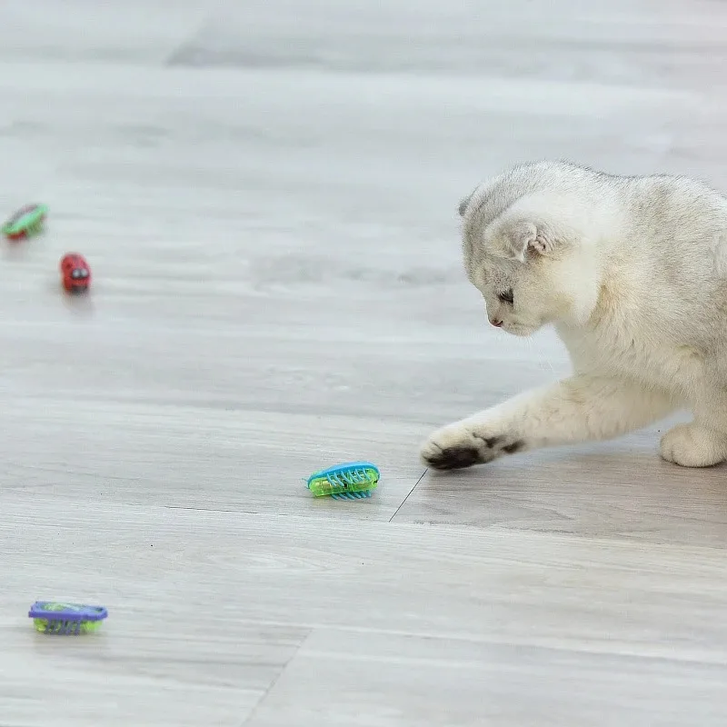 Engraçado minhocas elétricas brinquedos para gatos escape automático mini robô bug vibração inseto brinquedos para gatos bateria operado barata joaninha