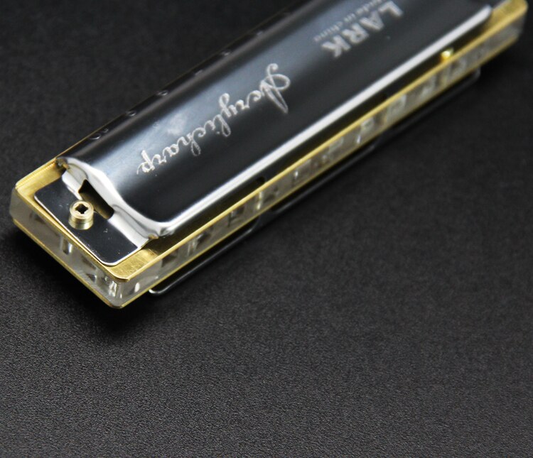 LARK 10 hole blues diatonic harmonica for player,beginner