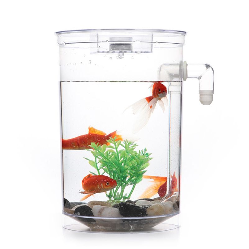 Mini sylinder akvarium startsett med led belysning mini landskap