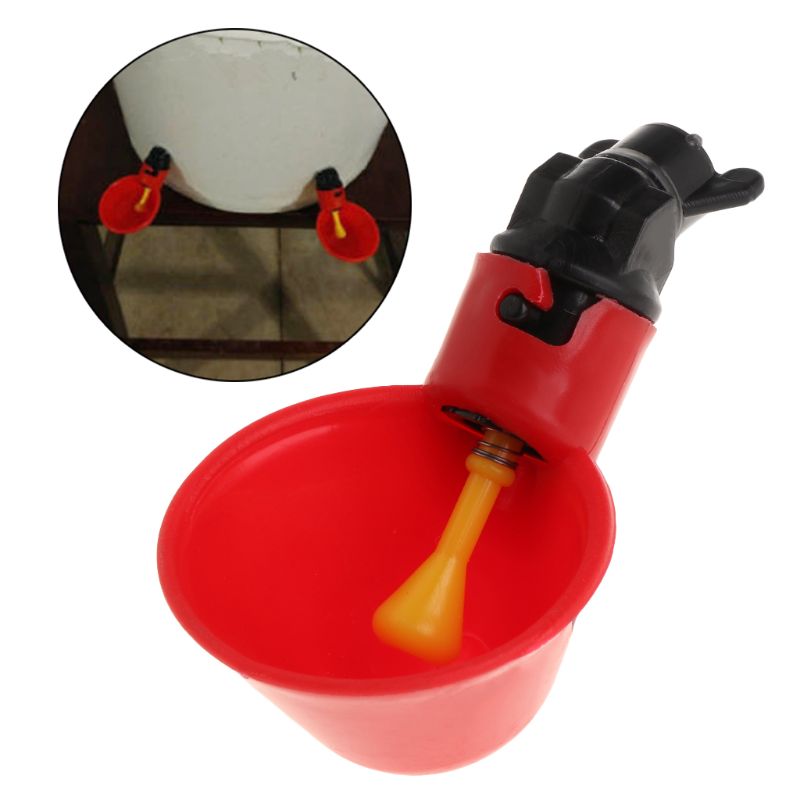 Bebedero automático para pollos y loros, bebedero para aves de corral, bebedero para aves