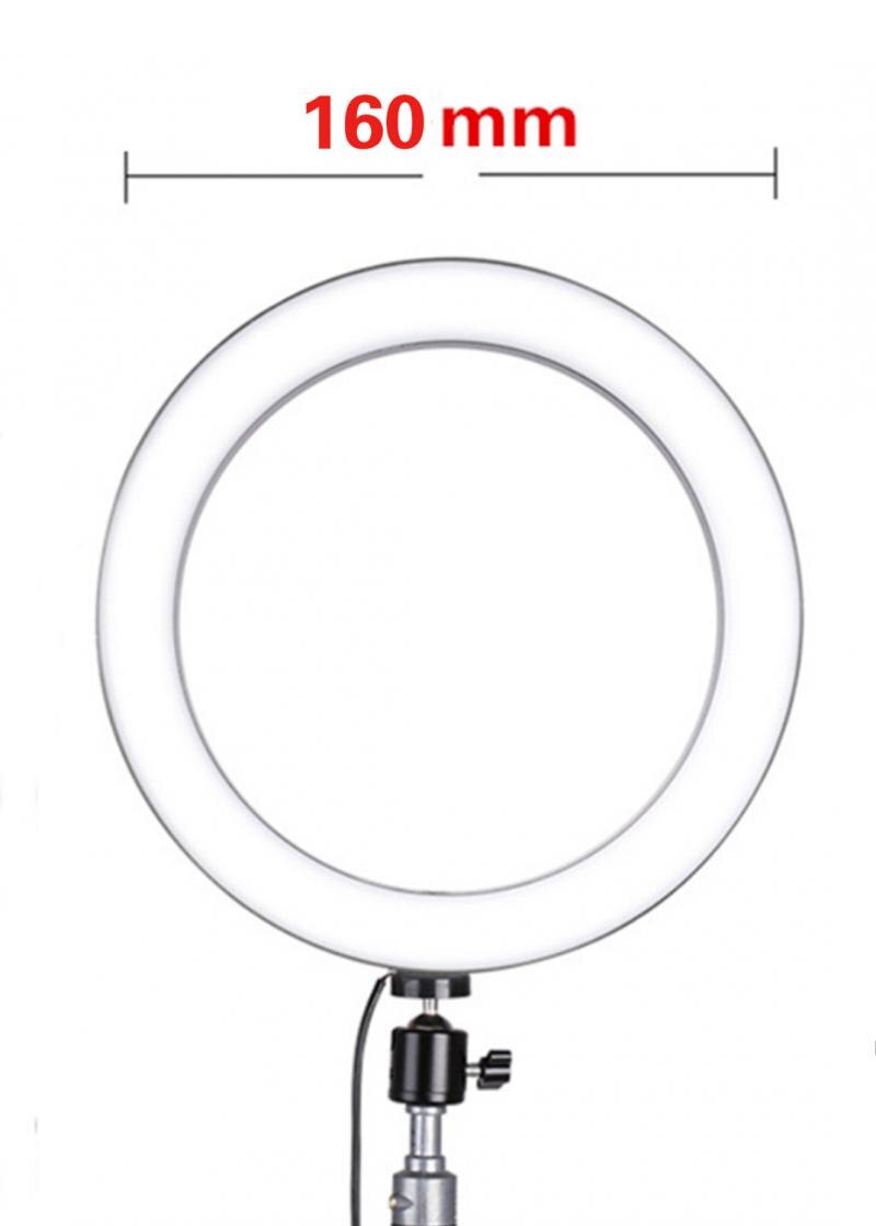 Led Dimbare Ring Licht Studio Foto Video Live Lamp Zonder Statief Beugel Usb Fill-In Licht Ring met Controller Lamp: Light Grey