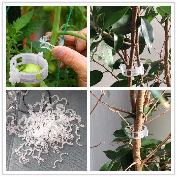 50 stuks/partij * plantenclip / cantaloupeclip / plastic gebonden wijnclip / takclip / hangwijnclip / vaste wijnclip