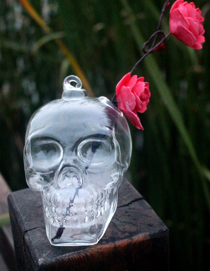 Vase à fleurs en verre pour jardin, 1 pièce, tête de mort, suspendu, style hydroponique