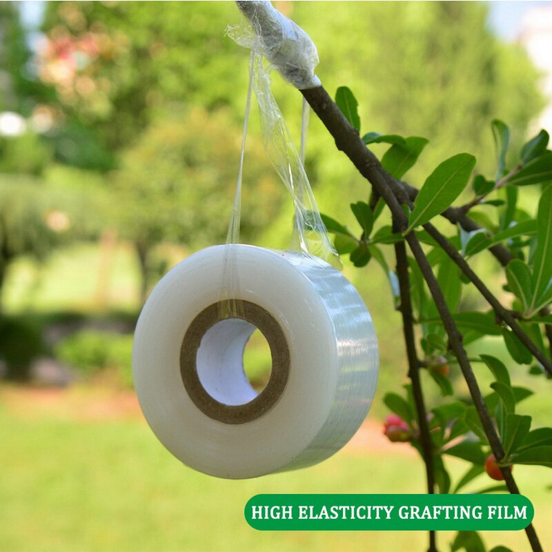 Rollo de cinta elástica para Injerto de jardín, cinta para injertos de vivero, herramientas de jardín degradables, cintas de injerto para árboles frutales, accesorios