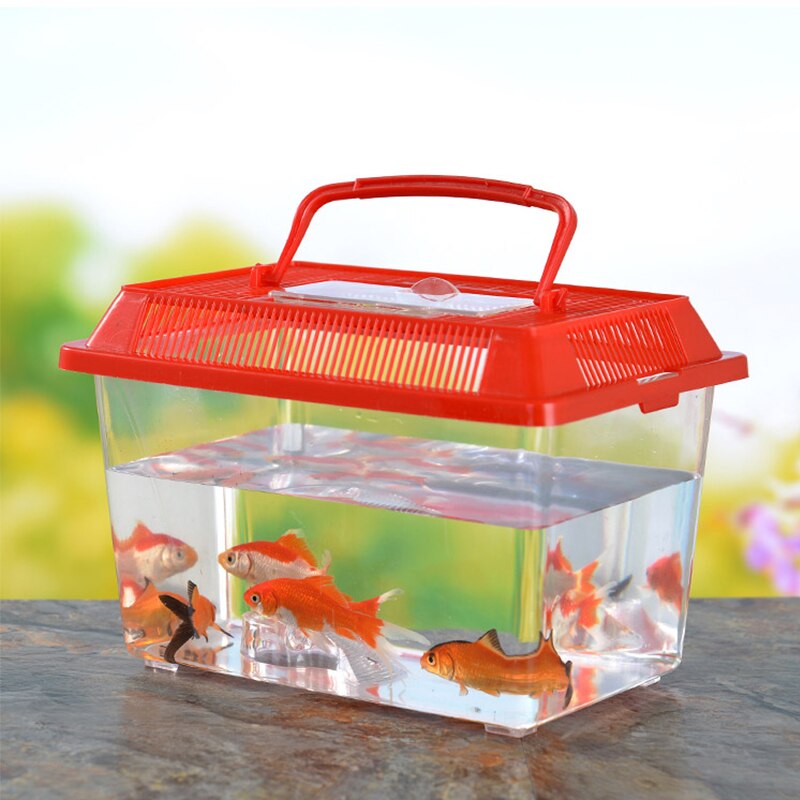 Aquarium Portable 1 pièce, boîte d&#39;élevage de poissons, Mini tortue de poisson rouge, réservoir de petits reptiles, fournitures d&#39;accessoires pour animaux de compagnie