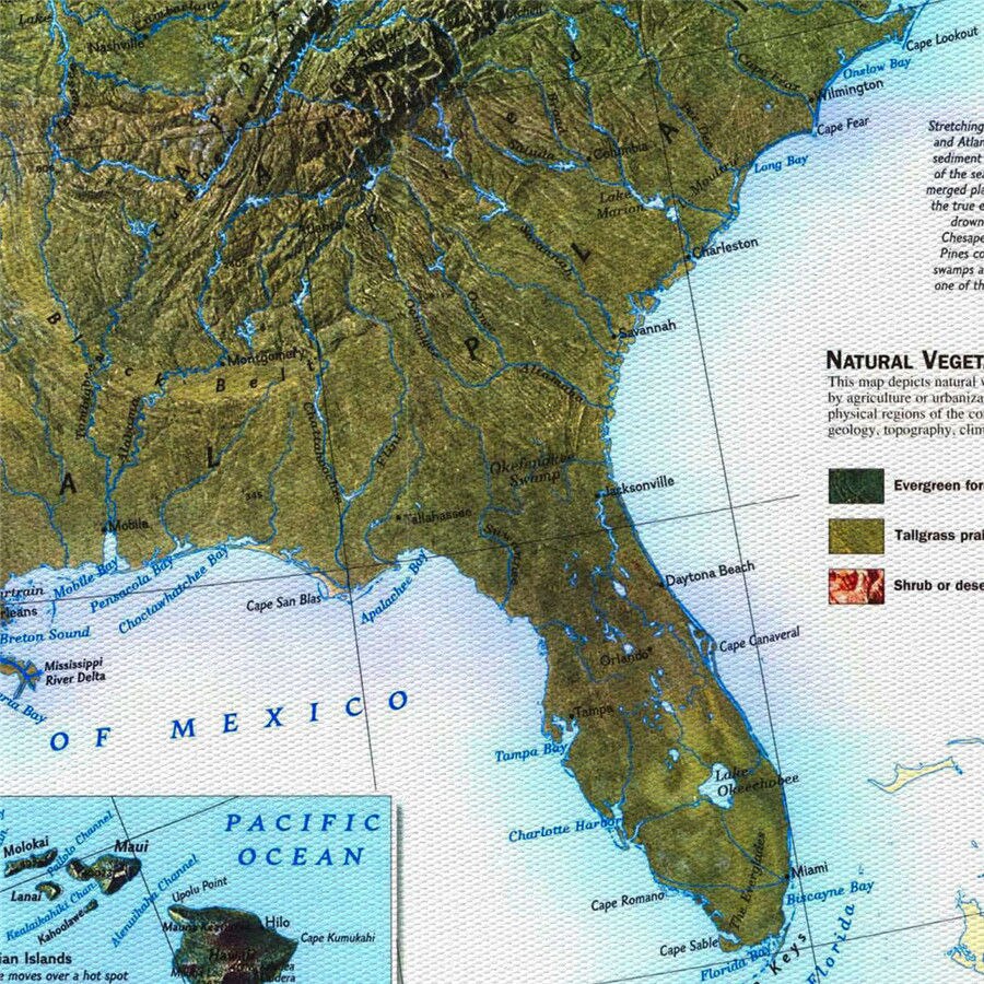 USA Map The Physical Landscape Realistic Geographical Lines Canvas Print Wall Sticker Bar Cafe Living Room Home Decor