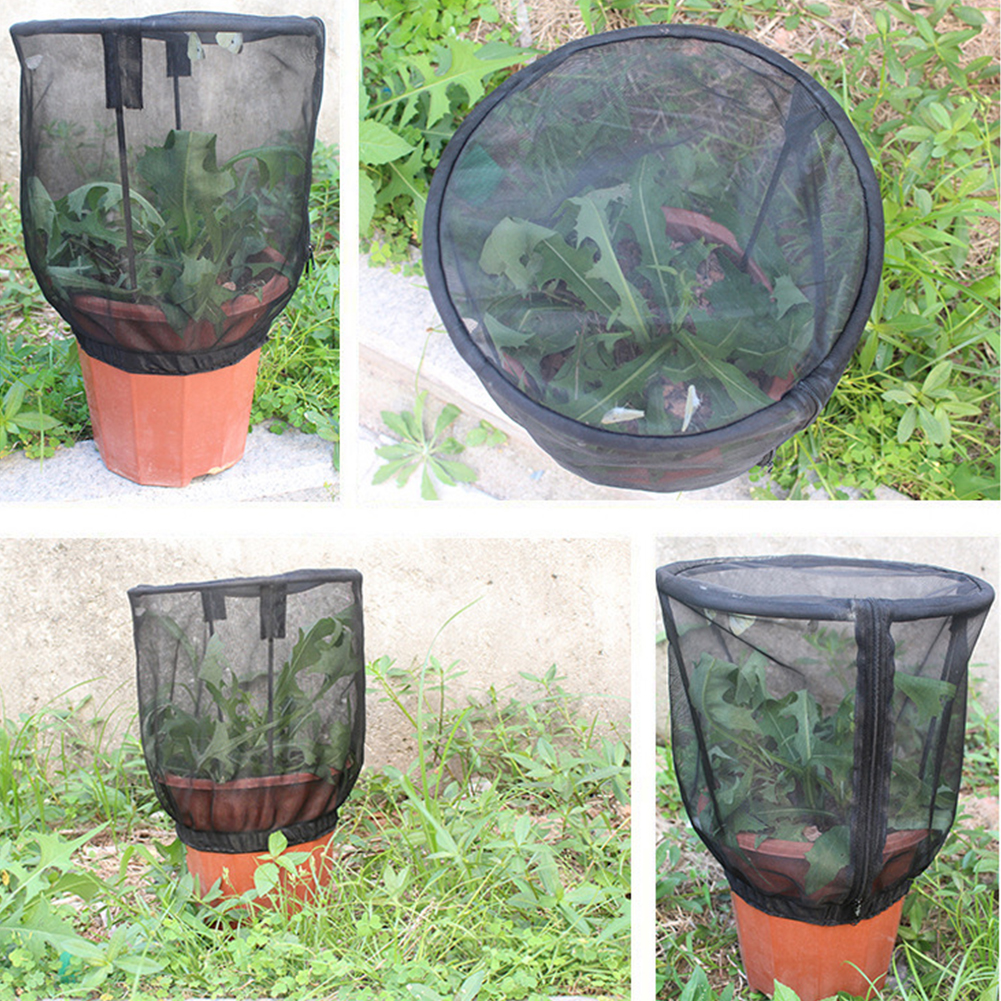 Pot de fleurs Portable Terrarium pour enfants | Cage d'habitat papillon, filet d'alimentation pour insectes, couverture de levage de jardin, plante ornementale, parasol